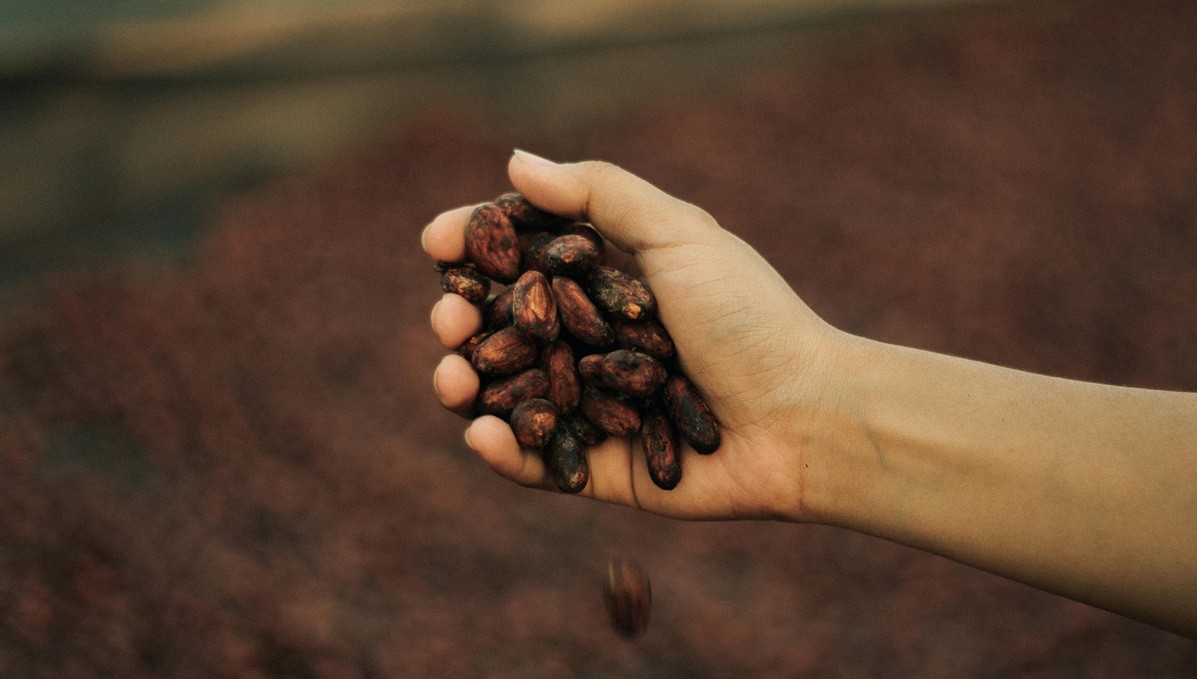 JB Foods share price up 12.25% on better earnings guidance